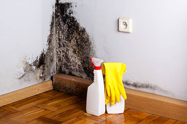 Mold Remediation for Rental Properties in Topeka, KS